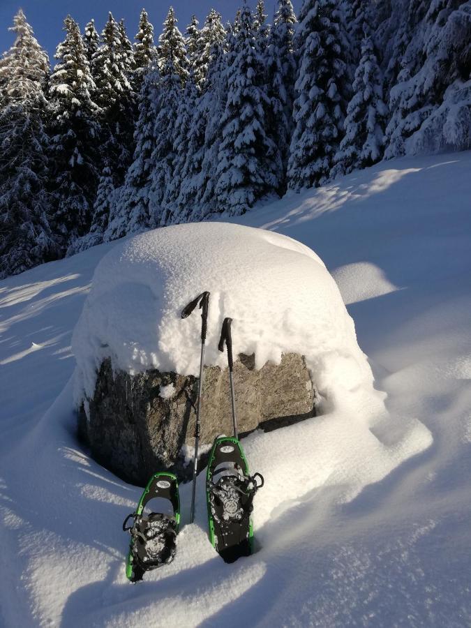 Apart Waldesruh Arzl im Pitztal Exteriér fotografie