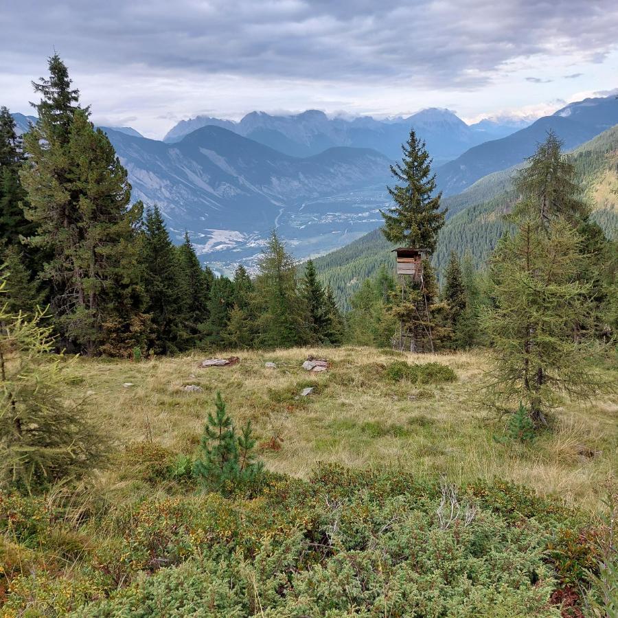 Apart Waldesruh Arzl im Pitztal Exteriér fotografie