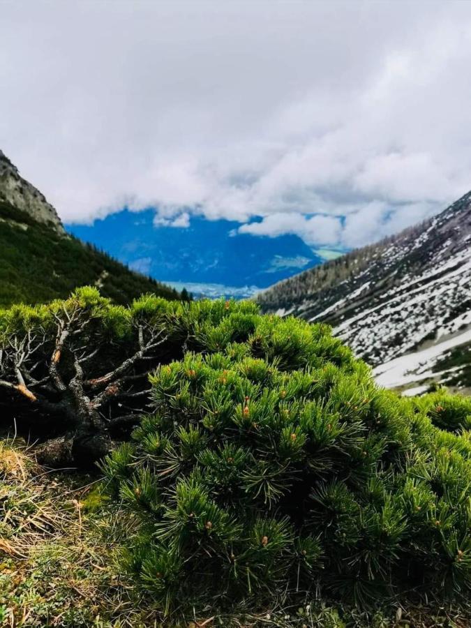 Apart Waldesruh Arzl im Pitztal Exteriér fotografie