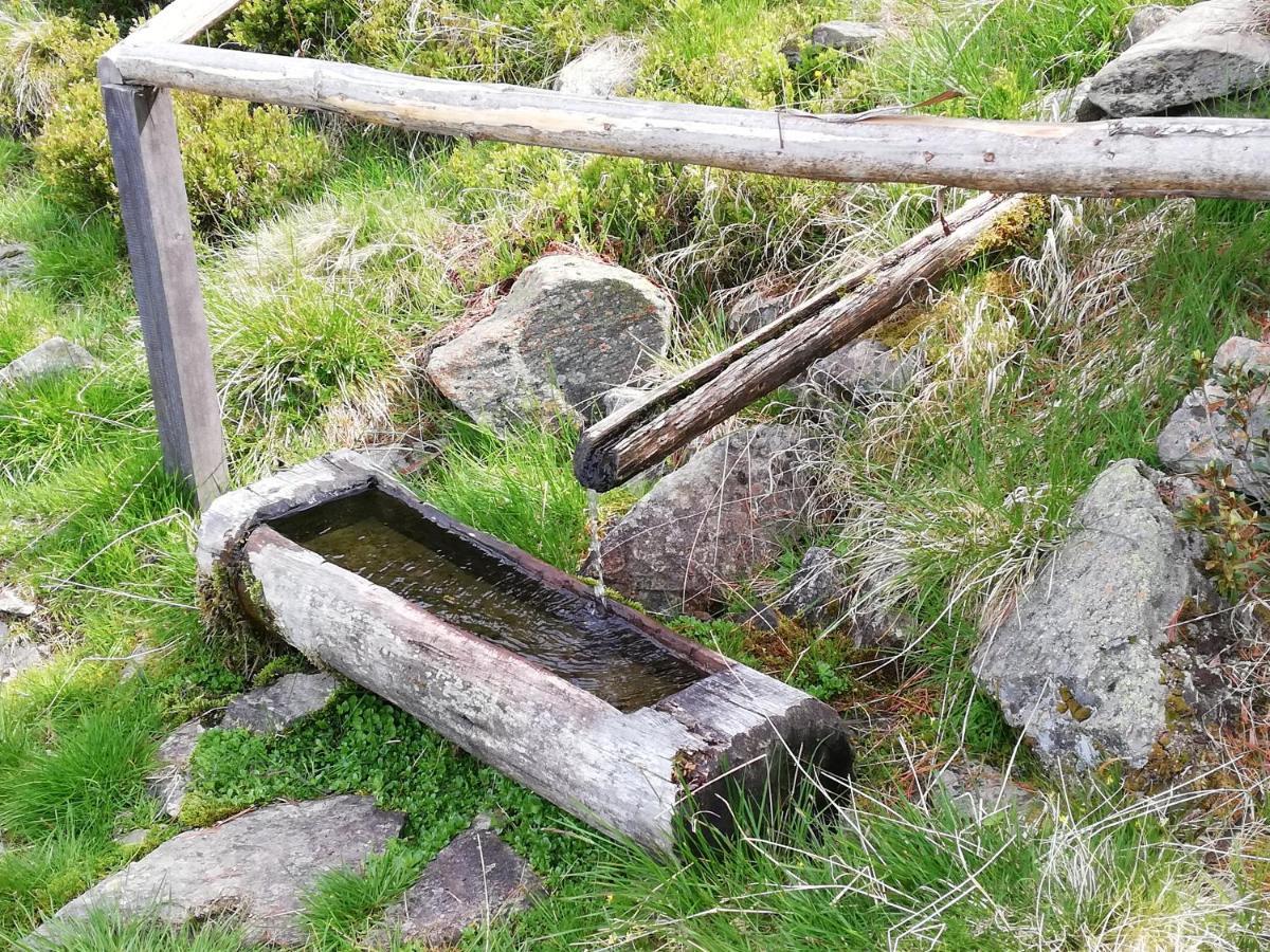 Apart Waldesruh Arzl im Pitztal Exteriér fotografie