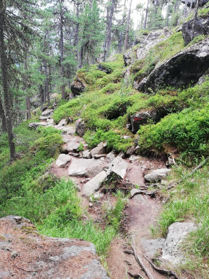 Apart Waldesruh Arzl im Pitztal Exteriér fotografie